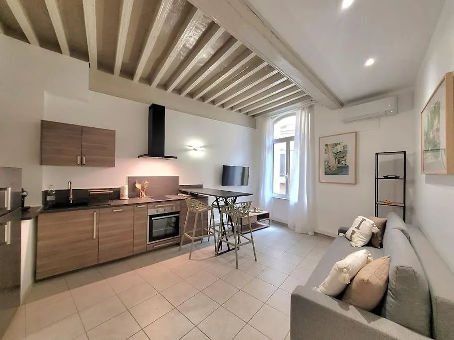 Appartement Au Coeur De L'Isle Apartment